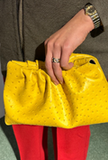 Solara Pouch