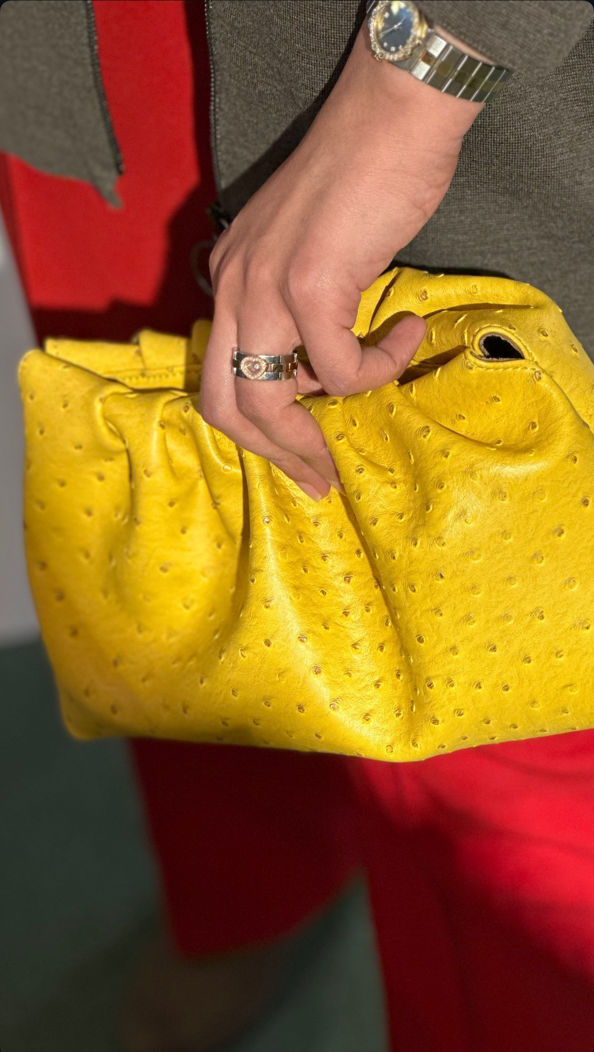 Solara Pouch